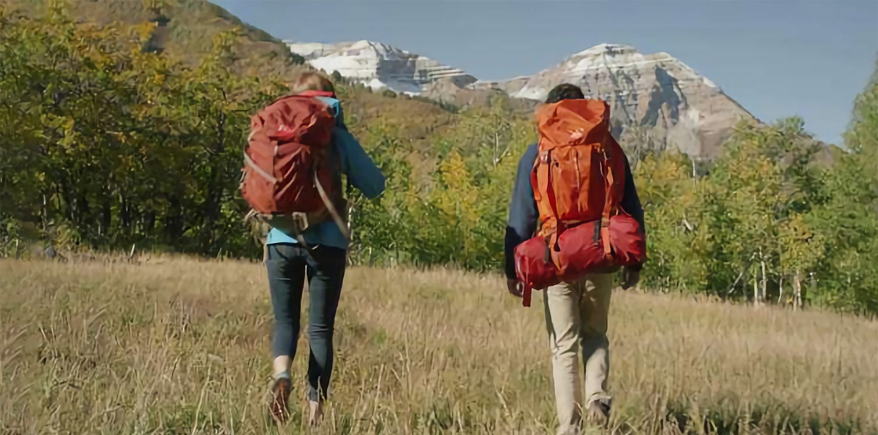 Benefits & Work-Life Balance